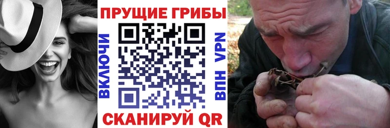 darknet как зайти  гидра вход  Галлюциногенные грибы Psilocybe  Лаишево  купить наркотики сайты 